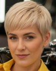 Corte pixie deslumbrante