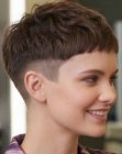 Corte pixie elegante