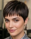 Corte pixie moderno e ousado