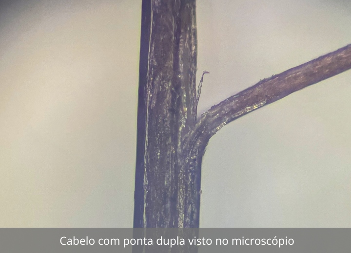 Cabelo com ponta dupla visto no microscópio