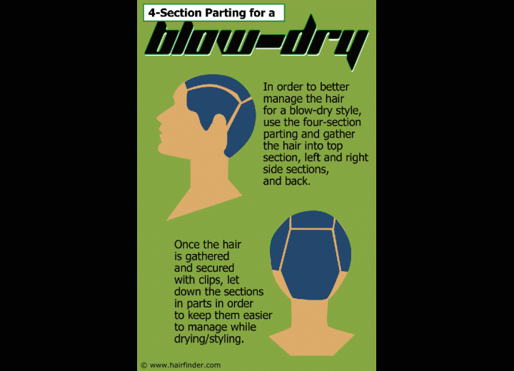 4 section hair parting