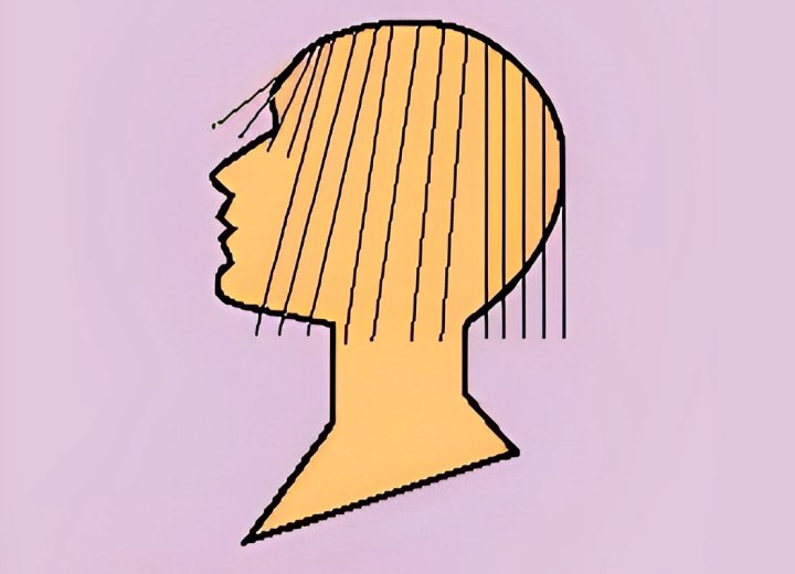 Cutting diagram for a bob with bangs