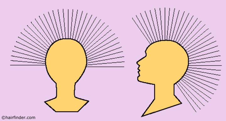 Cutting diagram for a circle haircut