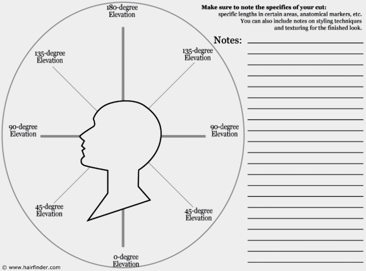Haircutting template - profile