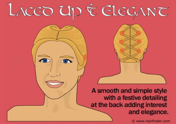 Eelegant laced-up hairstyle
