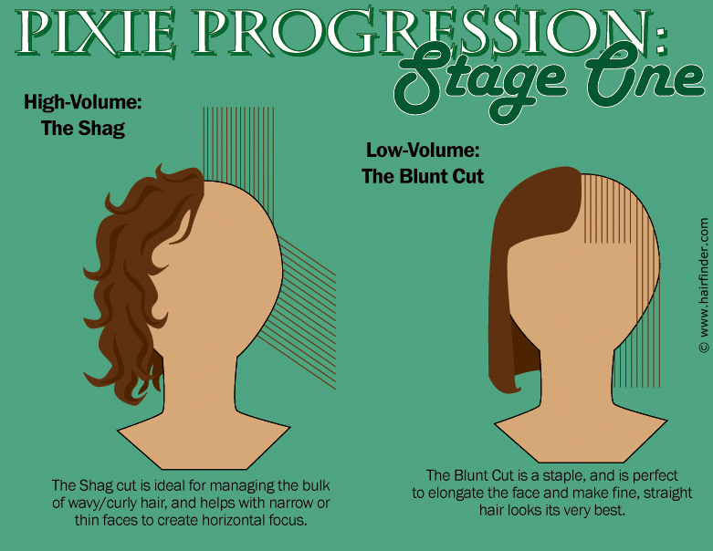 Transitioning to or from a pixie cut and interim steps in going from long  hair to a pixie