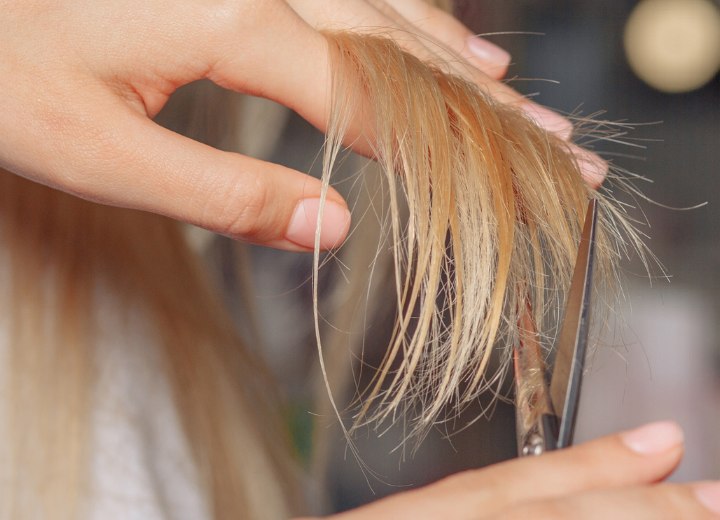 The Fine Details of PointCutting Hair Human Hair Exim