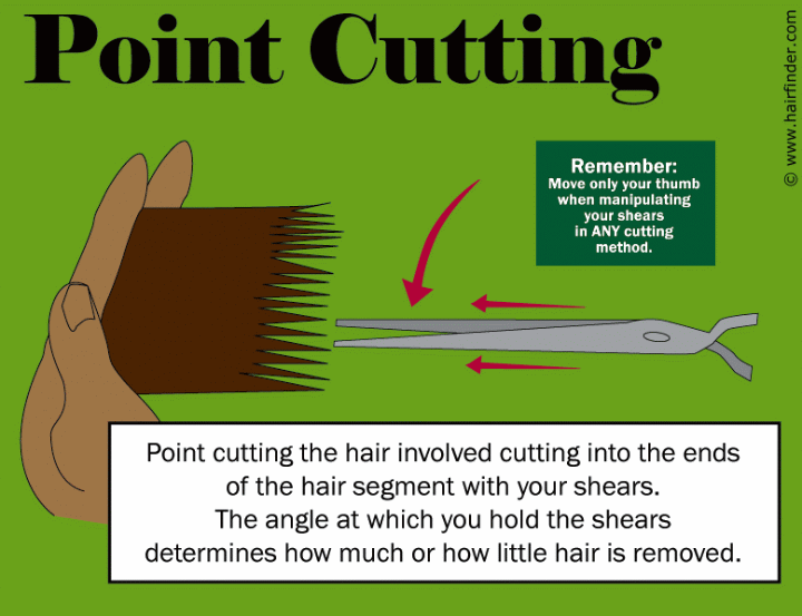 Thinning Shears On Curly Hair Reddit - Thinning Shears Ruined My Hair