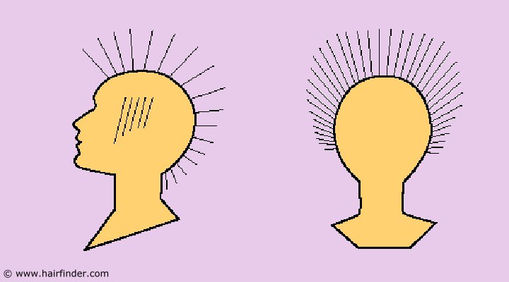 Hair cutting diagram for a short wedge