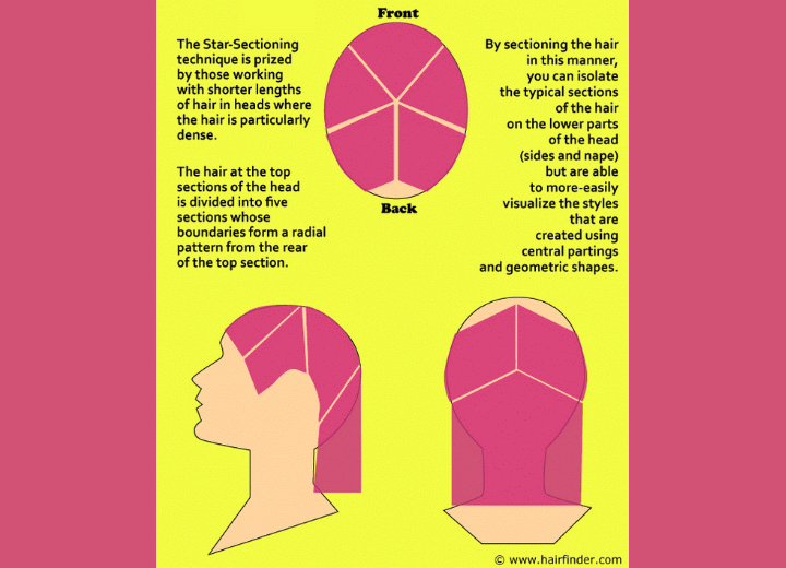 Star sectioning and how to use this technique for cutting of long layered  hair styles