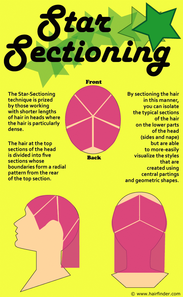Star sectioning and how to use this technique for cutting Star sectioning and how to use this technique for cutting