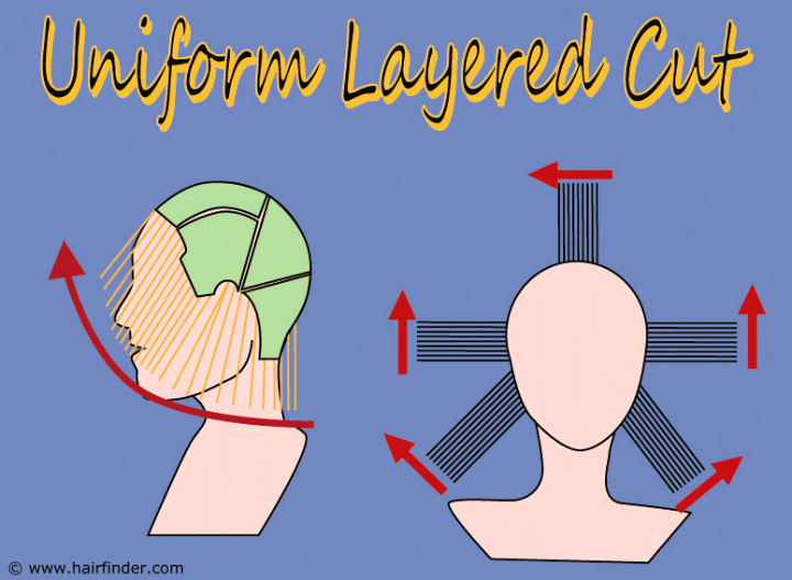 How to cut a uniform layered haircut