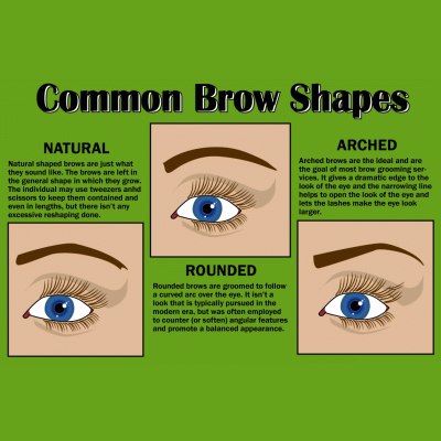 Common shapes for eyebrows
