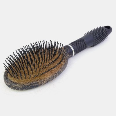 Dirty hairbrush