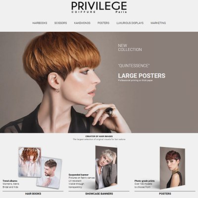 Privilege Coiffure hair books and posters