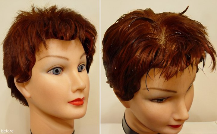 Brunette manikin before and after hair color application