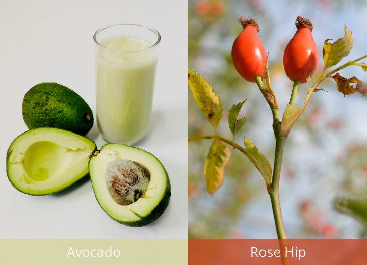 Avocado and rose hip