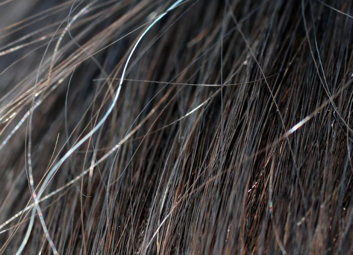 Discovering your first gray hairs