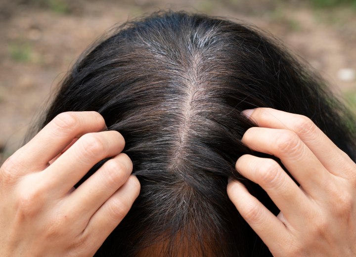 Hair with gray roots