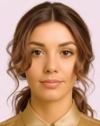 Updo with a ponytail