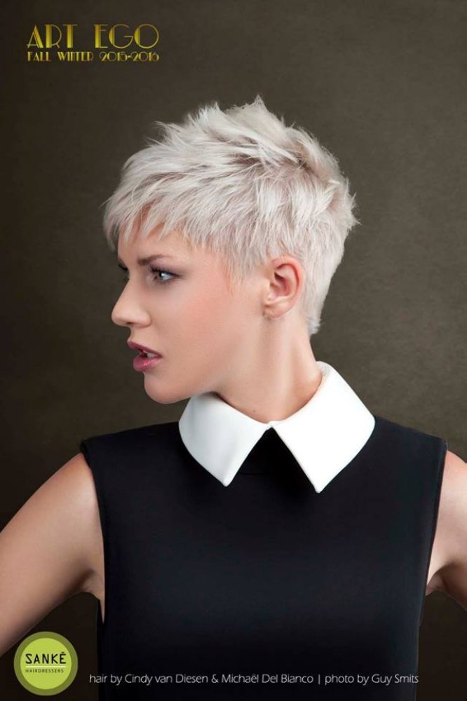 ART EGO hairstyles with attractive pixie cuts