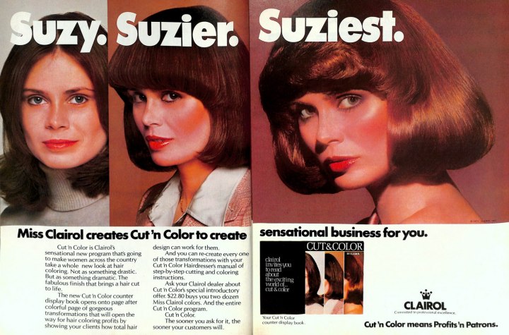 Clairol Cut'n Color